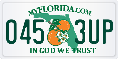 FL license plate 0453UP