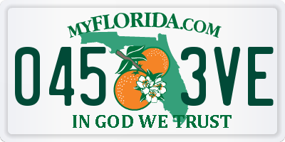 FL license plate 0453VE