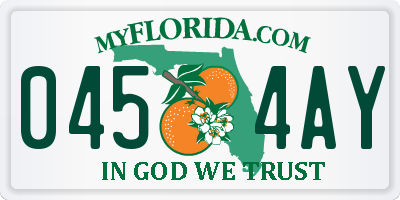 FL license plate 0454AY
