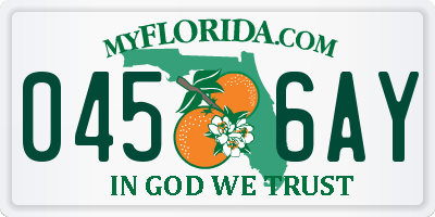 FL license plate 0456AY