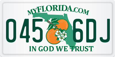 FL license plate 0456DJ