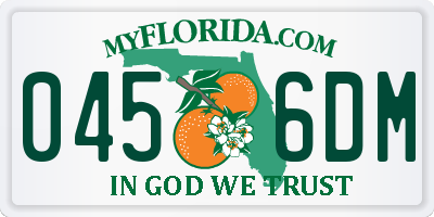 FL license plate 0456DM