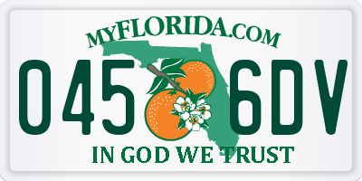FL license plate 0456DV