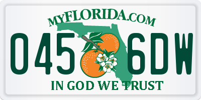 FL license plate 0456DW