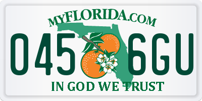 FL license plate 0456GU