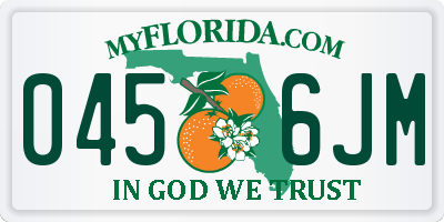 FL license plate 0456JM