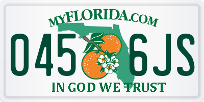 FL license plate 0456JS