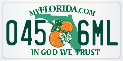 FL license plate 0456ML