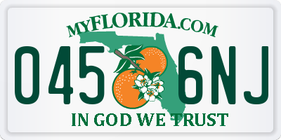 FL license plate 0456NJ