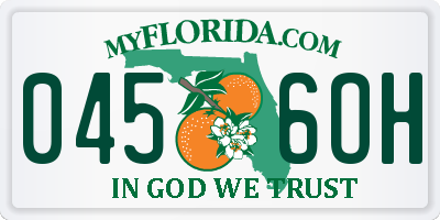 FL license plate 0456OH