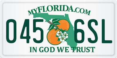 FL license plate 0456SL