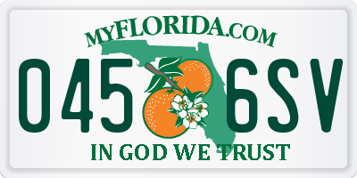 FL license plate 0456SV