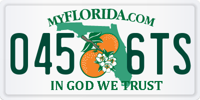 FL license plate 0456TS