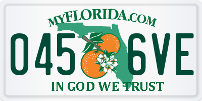 FL license plate 0456VE