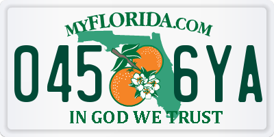 FL license plate 0456YA