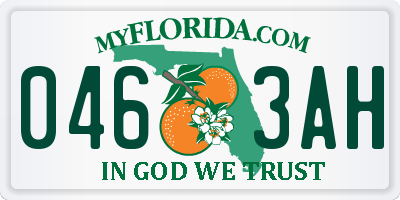 FL license plate 0463AH