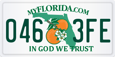 FL license plate 0463FE
