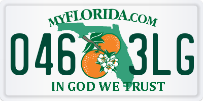 FL license plate 0463LG