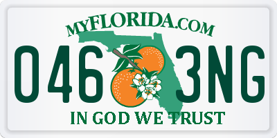 FL license plate 0463NG