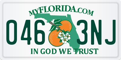 FL license plate 0463NJ