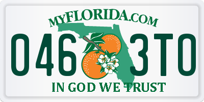 FL license plate 0463TO