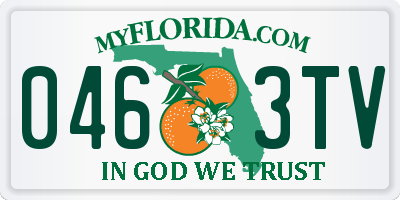 FL license plate 0463TV