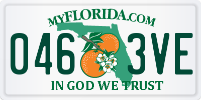 FL license plate 0463VE