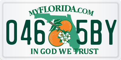 FL license plate 0465BY