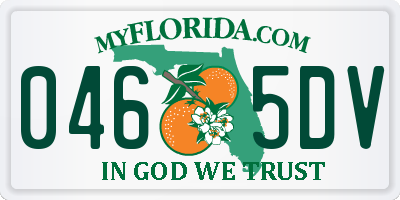 FL license plate 0465DV