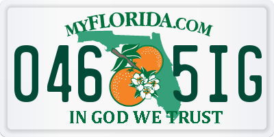 FL license plate 0465IG