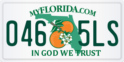 FL license plate 0465LS