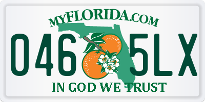 FL license plate 0465LX