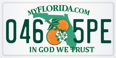 FL license plate 0465PE