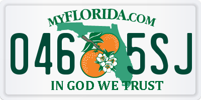 FL license plate 0465SJ