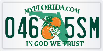 FL license plate 0465SM