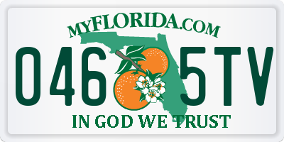 FL license plate 0465TV