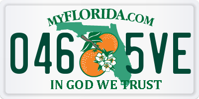 FL license plate 0465VE