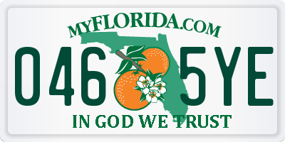FL license plate 0465YE