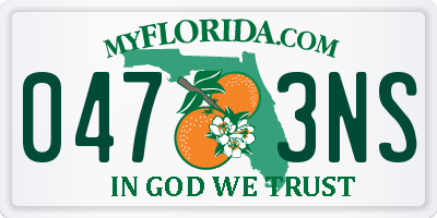 FL license plate 0473NS