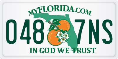 FL license plate 0487NS
