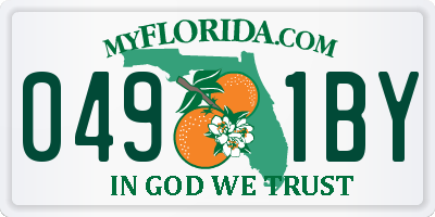FL license plate 0491BY