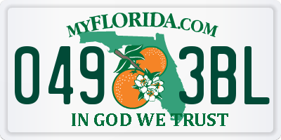FL license plate 0493BL