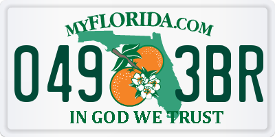 FL license plate 0493BR
