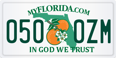 FL license plate 0500ZM