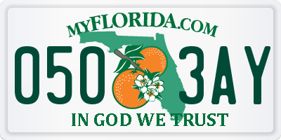 FL license plate 0503AY