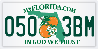 FL license plate 0503BM