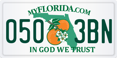 FL license plate 0503BN