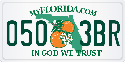 FL license plate 0503BR