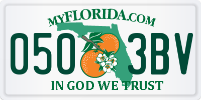 FL license plate 0503BV