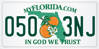 FL license plate 0503NJ
